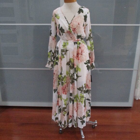 Alexa B Dresses & Skirts - Alexa B Long Sleeve Floral Print V-Neck Maxi Dress